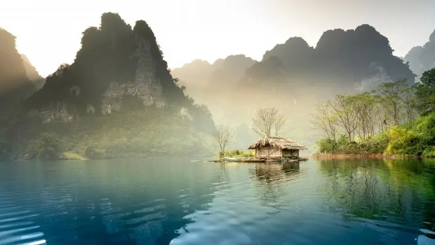 高效高效